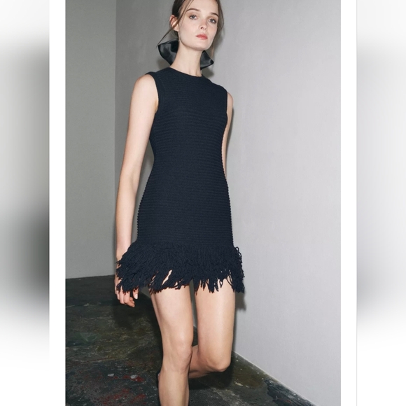 Zara Dresses & Skirts - ZARA FRINGED CHECKERED KNIT DRESS